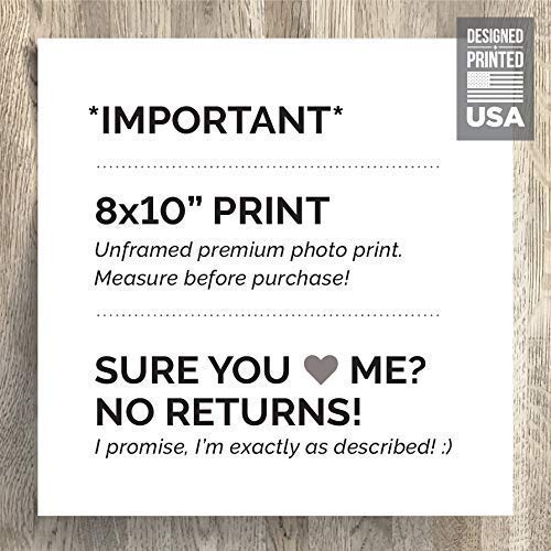 8x10" UNFRAMED PRINT Funny Bathroom Sign Do Not Flush Sensitive Plumbing Septic System Decor Farmhouse Rustic Home Art Modern Humor No Tampon Feminine Sanitary Product Paper Toilet Bong IUD Condom
