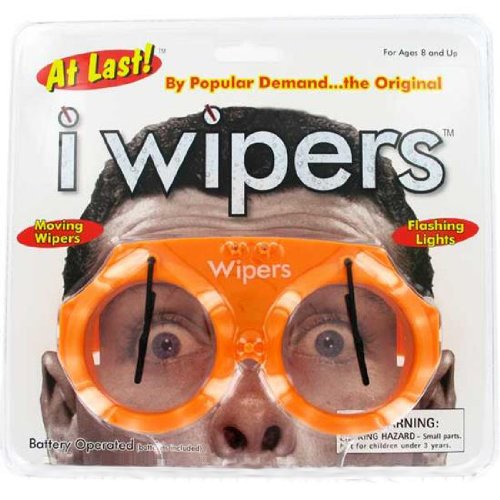 Windshield Wiper Sunglasses TOPRated Best Windshield Wiper Sunglasses