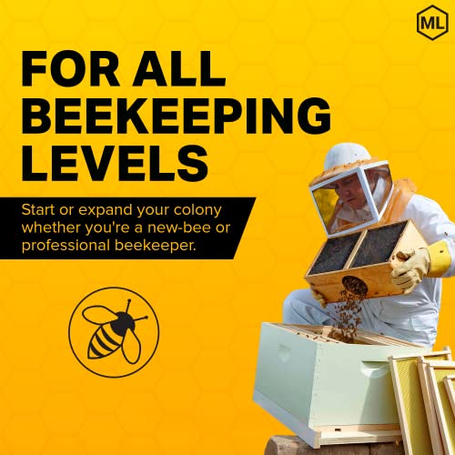 Mann Lake Complete Bee Hive Kit, Fully Assembled BeginnerFriendly Bee