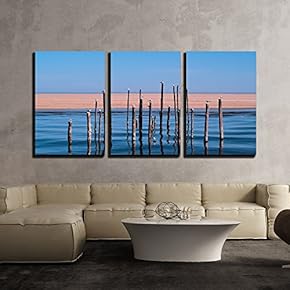 3 Piece Canvas Wall Art - Birds Stand at The Stake in The Water - Modern Home Art Stretched and Framed Ready to Hang - 16"x24"x3 Panels
