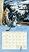 Lang 2017 Love of Cats Wall Calendar, 13.375 x 24 inches (17991001926)
