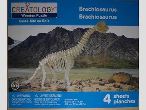 creatology brain teaser wooden puzzle