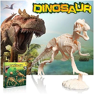 SUERIN TOY Dinosaur Dig Kit Skeleton Excavation and Assembled Kit set for Children