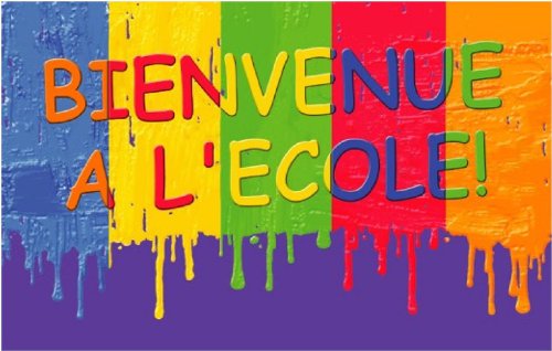 Digital Republic.Com 40395 Door Mat Polyamide PVC Plastic Phthalate-Free