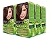 Naturtint Permanent Hair Color 5GM Chocolate Chestnut (Pack of 6), Ammonia Free, Vegan, Cruelty Free, up to 100% Gray Coverage, Long Lasting Results