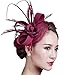 Fascinators Hat, Fascigirl Sinamay Feather Veil Flower Pillbox Hat Hair Clip Kentucky Derby Hat for Women Girls Party Wedding