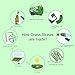 100% Organic Grass Straws Drinking - Pack of 100 Natural Eco Friendly Biodegradable Drinking Straws - Disposable, Safer, Healthier Than Reusable Bamboo Straws Reusable, Paper, Wheat, Plastic Straws