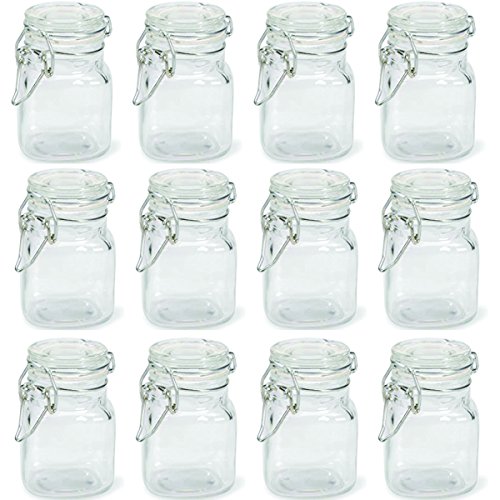 Charmed 3 oz Airtight Square Spice glass Jar with Leak Proof Rubber Gasket and Hinged Lid for Home (24)