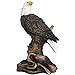 American Bald Eagle Statue in Wild Bird Sculptures & Figurines As Patriotic Decorations or Office and Rustic Lodge Home Decor and Decorative Gifts for Eagles Fans