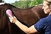 Oster Equine Care Series 7-Piece Grooming Kit (0-34264-42130-1