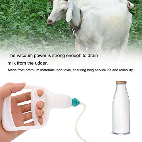 Perni Contenitore Kit da cucito Cuscino per spilli Porta perni in acciaio inossidabile Bottiglia di vetro Perni a testa tonda Aghi per cucire Maglieria per cucire Fai da te
