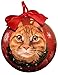 Tabby Cat Christmas Ornament Shatter Proof Ball Easy To Personalize
