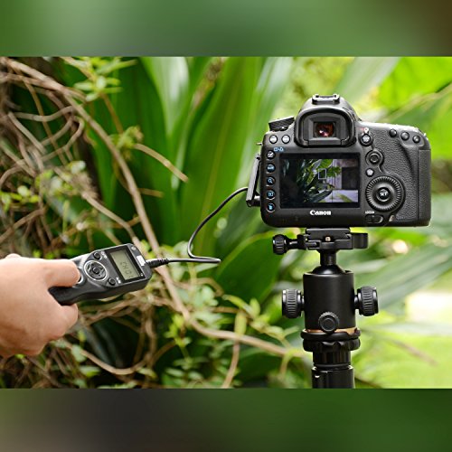 Pixel T9-E3/N3 LCD Wired/Wireless Shutter Release Timer Remote Control with Two Connecting Cables for Canon EOS 1200D/1100D/1000D/760D/750D/700D/650D(N3/E3) - Thumbnail 7