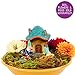 Creative Roots Create Your Own Fairy Garden by Horizon Group USA
