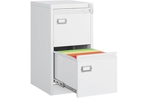 MIIIKO 2 Drawer File Cabinet, White Vertical Filing Cabinets with Lock, Home Office File Folders Storage Cabinet for Letter Legal A4 File Size