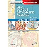 Netter's Concise Orthopaedic Anatomy, Updated Edition, 2e (Netter Basic Science)