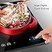 Wiland Portable Induction Cooktop induction stove Countertop Burner, 1800W 120V Induction Cooker with Timer