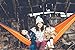 Double Camping Hammock- Best Lightweight & Portable Two Person Hammock Set –Aluminum Wiregate Carabiners, 2- 16 Loop Tree Straps & Compression Strap- Holds 500 LBS -Ideal for Travel- Orange Middle