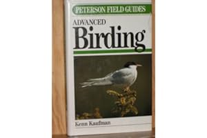 Field Guide to Advanced Birding: Birding Challenges and How to Approach Them