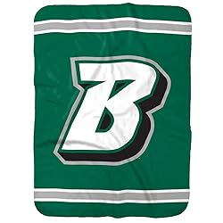 Binghamton University Bearcats Primary Logo Stripes