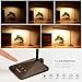 SOLLED LED Desk Lamp, 360 Degree Flexible Gooseneck Table Lamp (Wood Grain) with 25 Adjustable Modes Eye-Caring Dimmable Touch Lamp