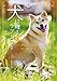 犬に贈るラブレター (Japanese Edition) by 