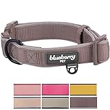 Blueberry Pet 6 Colors Soft & Comfy Made Well Classic Neoprene Padded Dog Collar, Beaver Brown, Medium, Neck 14.5