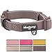 Blueberry Pet 6 Colors Soft & Comfy Made Well Classic Neoprene Padded Dog Collar, Beaver Brown, Medium, Neck 14.5