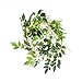 Felice Arts 2 Pcs White Artificial Wisteria Flowers Garland Fake 6.6 Feet Wisteria Vine Green Leaf Hanging Flower for Wedding Arch Party Garden Wall Floral Table Runner Backdrop Outdoor Decor