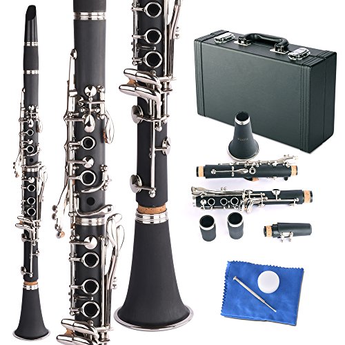 Apelila Professional Bb Clarinet Classic Music Orchestra Beginner Reed Woodwind w/Case