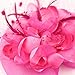 ACTLATI Fascinators Hat for Women Tea Party Headpiece Wedding Cocktail Flower Mesh Feathers Hair Clip 20s Flapper Fascinators