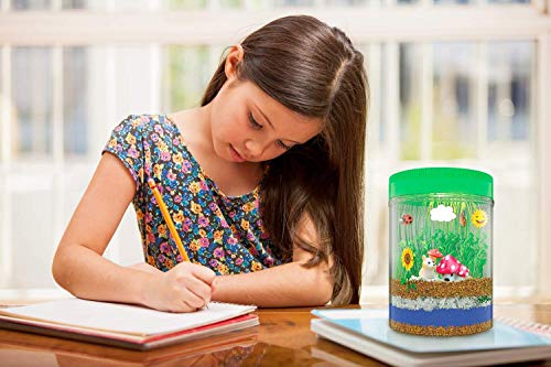 1 Terrarium+Customized+Educational+Birthday+Children