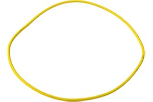 DANA SPICER DANA D60 O-RING