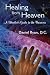 Healing from Heaven: A Healer's Guide to the Universe by 