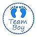 Gender Reveal Stickers - PojoTech Team Boy and Team Girl Baby Shower Stickers Gender Reveal Party Supplies Decorations - 80 Pack