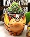 HEYFAIR Cute Cartoon Cat Bus Cactus Succulent Planter Pot Container Gardens