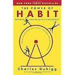The Power of Habit: Why We Do What We Do in Life and Business