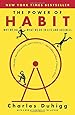 The Power of Habit: Why We Do What We Do in Life and Business