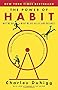 The Power of Habit: Why We Do What We Do in Life and Business