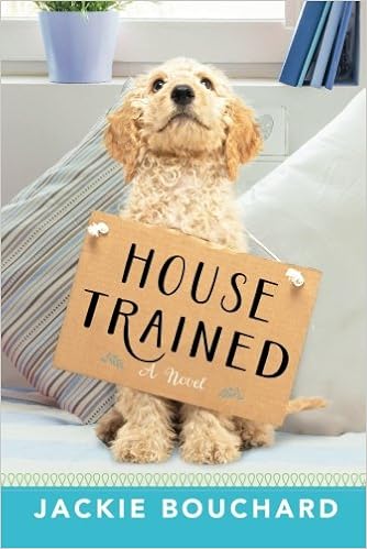 long haired chihuahua papillon