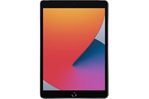 Apple iPad (10.2-inch, Wi-Fi, 128GB, 8th Generation)- Space Gray (Renewed)