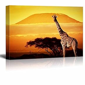 Canvas Prints Wall Art - Giraffe on Savanna Landscape Background and Mount Kilimanjaro at Sunset | Modern Home Deoration/Wall Art Giclee Printing Wrapped Canvas Art Ready to Hang - 12" x 18"