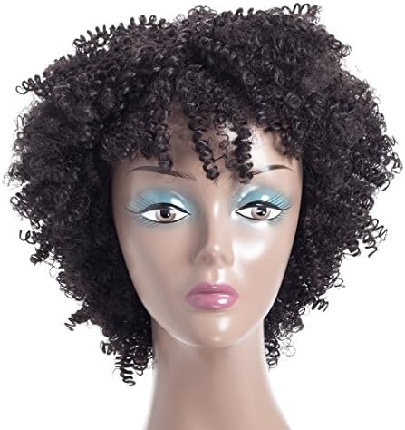 JiaZe Afro Kinky Curly Synthetic Hair Wigs For African American Women's Natural Black Color Machine Made Lace Wig Free Wig Cap(5892,Black)โฆ