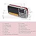 Aocome Portable Mini USB AM FM Radio Speaker Music Player Micro SD TF Card For PC iPod iPhone and other android phones (BM8 Red)