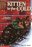 Kitten in the Cold (Animal Ark Series #13)
