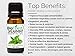 BioFinest Spearmint Oil - 100% Pure Spearmint Essential Oil - Premium Organic - Therapeutic Grade - Best For Aromatherapy - Boost Digestion - Muscle Soothing - FREE E-Book (10ml)