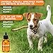 Dewormer + for Dogs and Cats - Natural Treatment from Tapeworm, Roundworm, Whipworm, Hookworm, and Nematode - Liquid Herbal Dewormer - for Pets Natural Canine Dewormer for Dogs (2 oz)