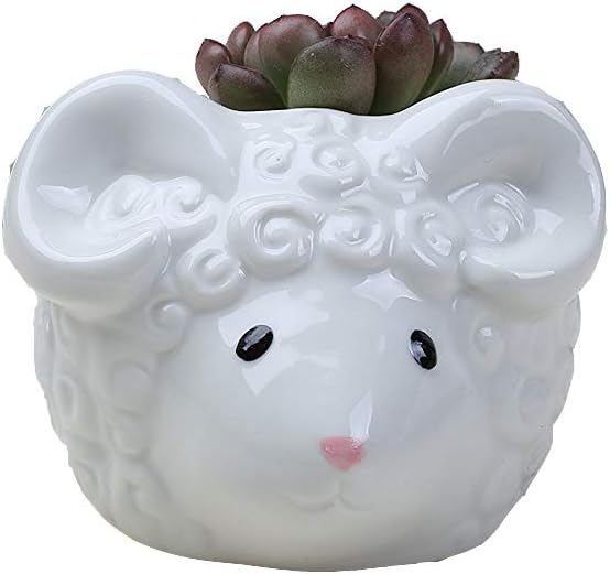 1pcs Cute Sheep Modern White Ceramic Succulent Planter Pots/Mini Flower Plant Container for Office,Window,Kitchen,Home