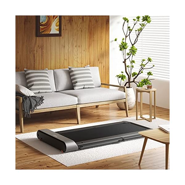 WalkingPad-Kingsmith-R1-treadmill-foldable-running-walking-mode-remote-control-speed-05-10-kmh-walking-in-the-office-home-office-or-at-home-very-quiet-in-operation WalkingPad Kingsmith R1 treadmill | foldable | running / walking mode | remote control | speed 0.5-10 km/h | walking in…