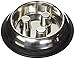 QT Dog - Brake-Fast Slow Feed Stainless Steel Bowl, Non-Slip - Ideal Puppies, Small & Medium Dogs, Suitable for Dry & Wet Food - 2 Cups (16 Oz)